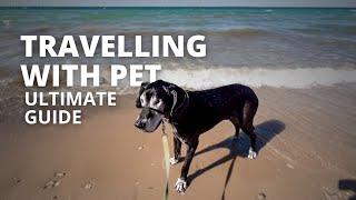  How to Travel with Pets in an RV | Tips for A Stress-Free Trip! 