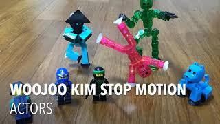 Woojoo kim stop motion