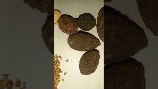 الوصفات الناجعة لعلاج الامراض الشائعة