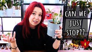 This needs to STOP! - Repotting Catasetum Orchids & venting about their biggest myth 