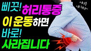 허리통증 없애는 방법 #2 허리 삐끗, 급성 허리통증, 충격에  의한 허리디스크 | 힐링가이드 허리통증 제오