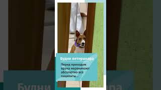 Все пациенты нервничают перед приёмом врача