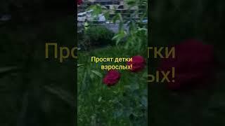 Подумайте о детях!?