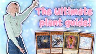 The ULTIMATE guide to plant ft Raika, Aroma, Rikka & Sunavalon