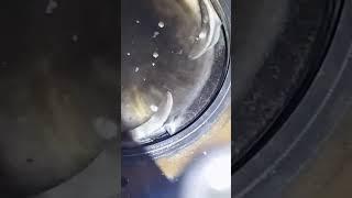 Piston damage  Toyota Supra MK4 engine 2jz #mechanic #tyson 2jz