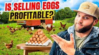 I’VE RUN MY EGG BUSINESS FOR 4 YEARS. HERE ARE THE TRUE NUMBERS