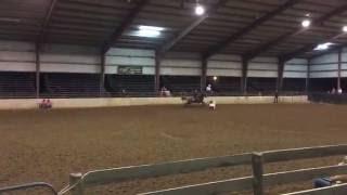 Fancy Fast Horses - Queen Of Perks - 1D Angel Rae Miller 8/16