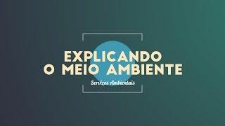 Explicando o meio ambiente - Serviços ambientais