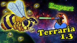 Terraria 1.3 (Expert) - Королева пчёл (Queen bee)