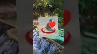 دروس دينية متنوعة
