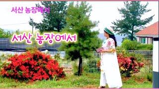 드림찬양선교방송 #서산 농장에서 이성애 선생님과 #찬양 하민선교사
