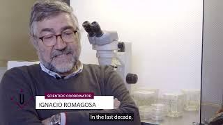 Plant Genetics, Genomics and Breeding | International Master | CIHEAM Zaragoza