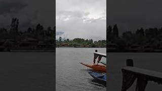 Dal Lake looks majestic with Shikara #Dal_Lake #Srinagar