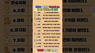 운세 횡재수 들어와 억 소리나는 큰 돈 들어오는 띠 순위 #재물운 #운세 #오늘의운세 #대박운세 #띠별운세