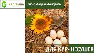 ВИДЕООБЗОР КОМБИКОРМОВ ДЛЯ КУР - НЕСУШЕК ПК 1-1 И ПК 1-2
