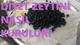 Siyah Zeytin Nasıl Kurulur?(Tuza perhizi olanlar İçin)