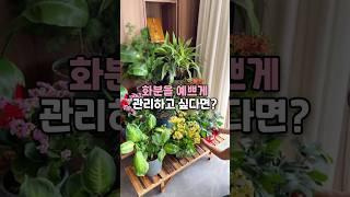 화분을 예쁘게 관리하고 싶다면? #화분선반 #화분정리대 #화분진열대