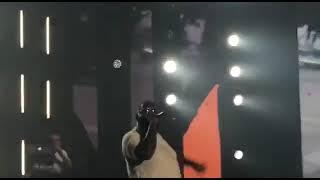 Rick Ross live performance in lagos Nigeria