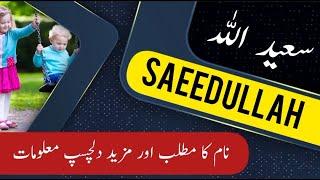 SAEEDULLAH name meaning in urdu & English with lucky number | Islamic Baby Boy Name | Ali Bhai