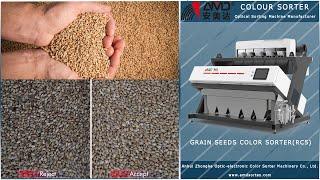 AMD Sortex(RC5) Wheat Color Sorter Machine Price for Grain Crop Seeds Optical Sorting