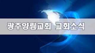 2025년 1월 5일 양림뉴스