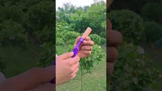 DIY Bamboo Creation with Colourful Balloon Slingleshot #Diy #Slingshot #Bamboo