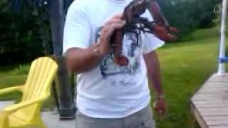 Boblobster holds stuff