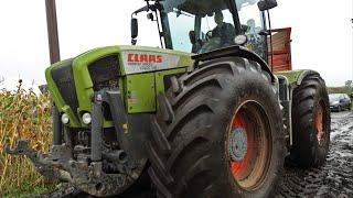 Mais Silage In The Mud | Claas Xerion Trac | Modderen