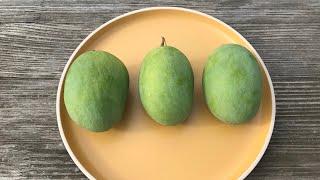 Langra mango [Mangifera indica]