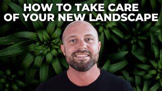 How to Take Care of Your New Landscape in Cape Coral FL