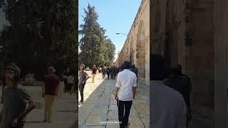 Jews ascended the Temple Mount, Tisha B'Av 2024, Jerusalem, Israel