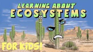 Learning About Ecosystems