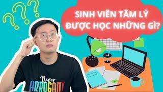 Sinh Viên Tâm Lý Được Học Những Gì? Ngành Tâm Lý Học Thú Vị Như Thế Nào? - Hướng Nghiệp Ngành Tâm Lý