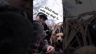 SOLO Hunt with MY DOG!!   #hunting #dog