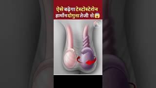 देख लो आज ऐसे बढ़ता है टेस्टोस्टेरोन हार्मोन  | How to boost testosterone #shorts #viral