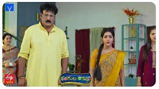 Rangula Ratnam Latest Promo - 19th September 2024 in ETV Telugu at 7:30 PM - Mallemalatv