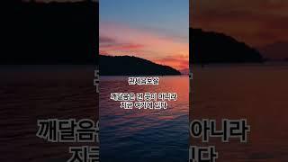 관세음보살 오늘도 불교신자 채널에서 기도하세요 댓글에 소원을 작성해주세요