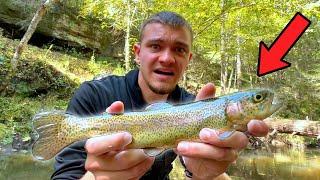 Catching Rainbow Trout to Stock My Pond! (Gone Wrong)