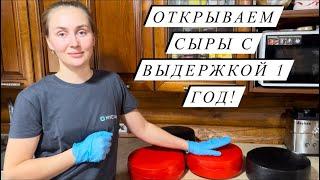 Весной ДЕЛ НА ФЕРМЕ, как никогда МНОГО! Работаем всей семьей! Выпустили овец на выпас и продали быка