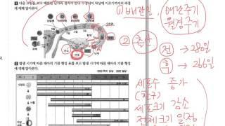 중3 4단원사람의수정과발생