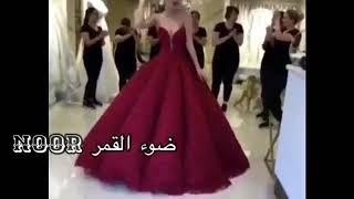 اغيه محمد الشحي انتي مرتي مع احلى عروس