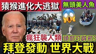 人類滅絕！美國攻擊「俄羅斯領地」專家警告「第三次世界大戰」隨時爆發！泰國猴子大逃獄！瘋狂襲擊人類！布吉發現「無頭美人魚」能辟邪被斬首！11.19印度神童預言又中世界國際新聞