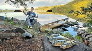 Six Days Camping in the Deep Wilderness - Catch and Cook my Dinner