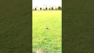 Elevating Exploration: FPV Drone Expeditions at MIET
