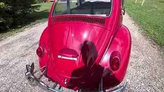 1965 ruby red beetle @graysvws