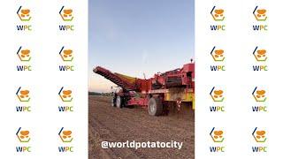 Harvesting potatoes in World Potato City  | Grimme SE 150-60 | #shorts