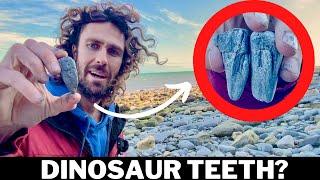 DINOSAUR FOSSILS FOUND! Breaking Rocks on the Jurassic Coast (Treasure Hunting UK!)