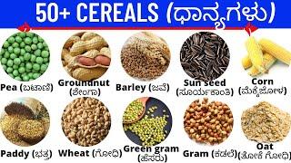 Cereals | ಧಾನ್ಯಗಳು | Vocabulary | ಕನ್ನಡದಿಂದ ಇಂಗ್ಲೀಷ್ ಕಲಿಯಿರಿ | Spoken English |