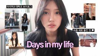 Vlog | 마지막 (대학생) 브이로그 | 시험공부하고. 운동하고. 생일보내고.!! | 뉴템들 잔뜩 소개합니돠 ~~ ⭐️
