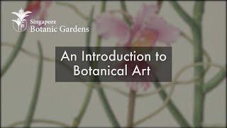 A Introduction To Botanical Art